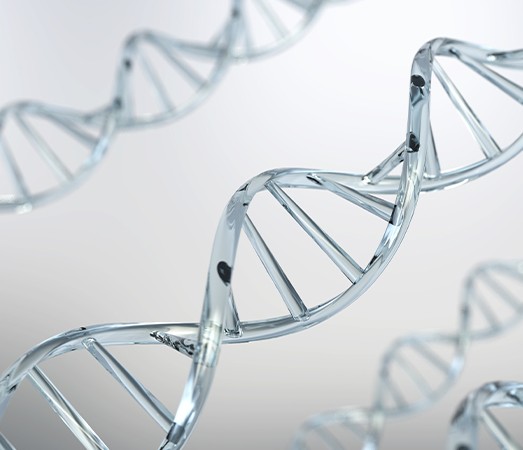 Transparent DNA double helix