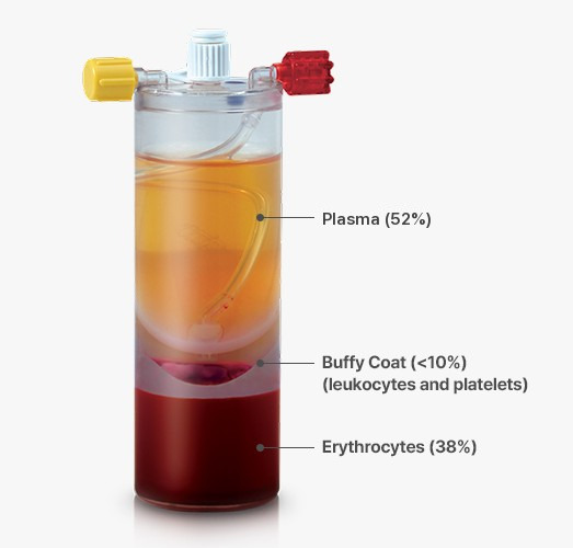 Kit showing blood separated into layers after centrifugation: Plasma (52%), Buffy Coat (<10%) (leukocytes and platelets), Erythrocytes (38%)