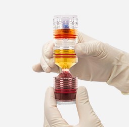 Blood kit separated into layers by centrifugation